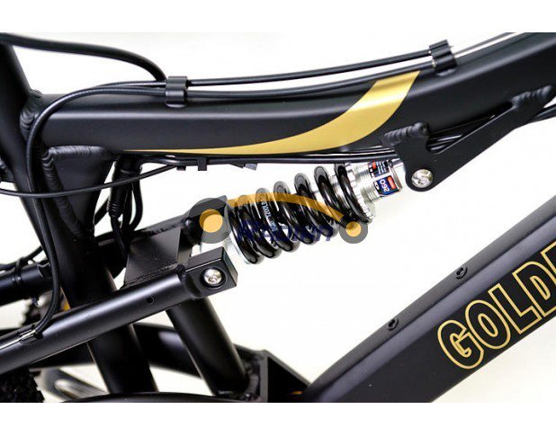 Электровелосипед E-motions Golden Motor 1000W