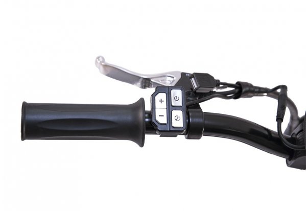 Электровелосипед Wellness PRADO 350W (36V/ 8Ah) 591430