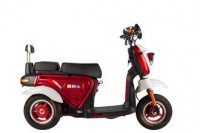Трицикл GREEN CITY S1 MINI