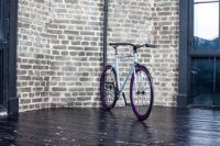 Bear Bike Rotterdam