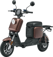 Электроскутер SkyBoard Kazbek 1000W