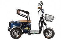 Трицикл  GREEN CITY S1 V