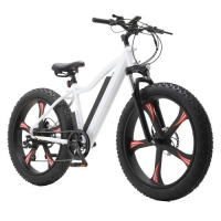 Электровелосипед eRace EM01W