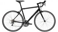 Marin Ravenna WFG