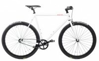 Bear Bike Dubai