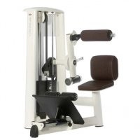 Special Abdominal Machine Sygnum