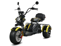 Электротрицикл Siberton Pro 3900W 60V35A