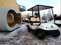 Гольфкар Конкордия ГК2+2 с площадкой