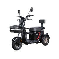 Электротрицикл WHITE SIBERIA SIBTRIKE L 2000W