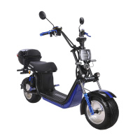 Электроскутер SKYBOARD BR30-2WD PRO FAST