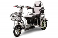 Электротрицикл Osota Transporter