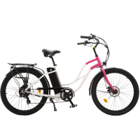 Электровелосипед для прогулок eRace EC01F