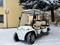ГОЛЬФКАР КОНКОРДИЯ URBIS 4+2