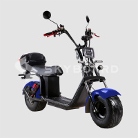 Электроскутер SKYBOARD BR20-2WD PRO FAST OFF-ROAD