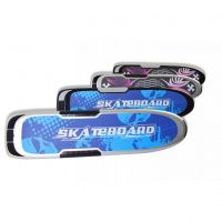Двухколесный электроскейт El-Sport skateboard 300W, 8,8ah