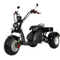 Электроскутер Ikingi M6 PRO Trike