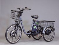 Электровелосипед трицикл E-motions Kangoo-ru 500w (36v/12Ah) / 700W (48v/13Ah)
