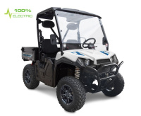Электробагги UTV GreenCamel Linhai LH50DU (60V 3950W)