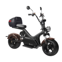 Электроскутер SKYBOARD Baikal BR50 3000W