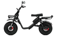 Электроскутер SkyBoard Kamchatka 3000W