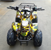 Квадроцикл GreenCamel Гоби K70 (36V 800W R7 Дифференциал)