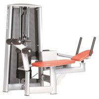 Lying Abdominal Machine Sygnum