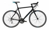 Marin Argenta Elite
