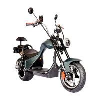 Электроскутер SKYBOARD CHOPPER 3000 PRO