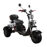 Электроскутер SKYBOARD TRIKE BR40-3000 PRO FAST OFF-ROAD