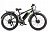 Электро фэтбайк VOLTECO BIGCAT DUAL NEW 2023 022560