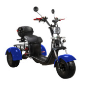 Электроскутер SKYBOARD TRIKE BR40-3000 PRO FAST, синий