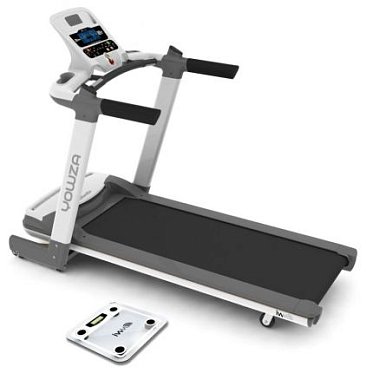 Беговая дорожка Eurofit Atlanta ASK171097