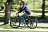 Электровелосипед WELLNESS CROSS RACK (500W 36v/12Ah) Электровелосипед WELLNESS CROSS RACK (500W 36v/12Ah) 591436