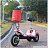 Трицикл El-Sport SF8 300w (48V/10Ah) Трицикл El-Sport SF8 300w (48V/10Ah) 594455