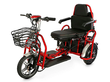 Электротрицикл Elbike Адъютант Double Twix A4 04268