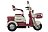 Пассажирский электротрицикл Rutrike Gelbert Mercury 48V/60V 650Вт 0000265
