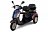 Двухместный электротрицикл Osota Trike DUAL 