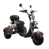 Электроскутер SKYBOARD TRIKE BR40-3000 PRO FAST, коричневый