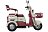 Пассажирский электротрицикл Rutrike Gelbert Mercury 48V/60V 650Вт 0000265