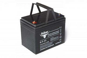 Тяговый гелевый аккумулятор RuTrike 6-F-33 (12V36A/H C20) Rut4581