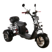 Электроскутер SKYBOARD TRIKE BR60-3000 PRO, черный