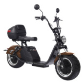 Электроскутер SKYBOARD BR70-2WD, коричневый