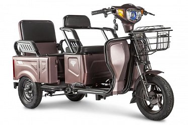 Электротрицикл Rutrike Вагон 