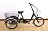 Трехколесный электровелосипед elbike farmer 350w 36в 10ач 
