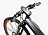 Электровелосипед BESV Lion LX1 500W (36V/ 11.2Ah) 593606
