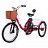 Электровелосипед GreenCamel Трайк-B (R24 500W 48V 20Ah) задний привод Gre02592