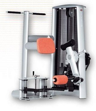Standing Leg Curl Sygnum 591049