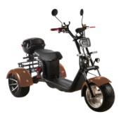 Электроскутер SKYBOARD TRIKE BR60-3000 PRO, коричневый