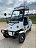 Гольфкар GreenCamel A2P (2+Plate 1800W R10 alum) 