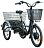 Электровелосипед Wellness Fazenda (500w 48v/10Ah) 591445